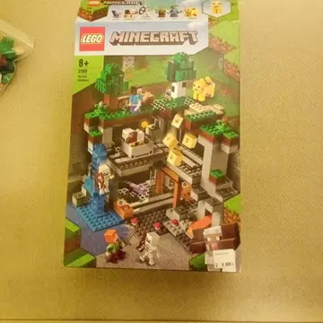 LEGO Minecraft The First Adventure 21169