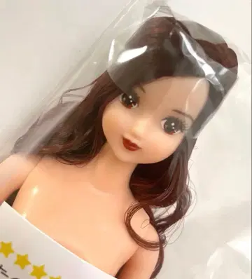 제니 프렌드 S 사쿠라코 즐거운 인형 리카짱 캐슬 리틀 팩토리