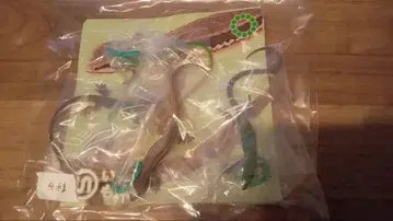 도마뱀과 도마뱀 메지루시 마스코트 4체 세트