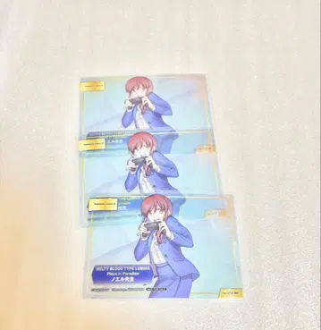 TYPE-MOON 페어 카드 세트 월희 노엘