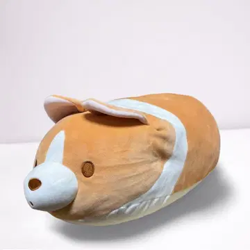 코기 모양 봉제 인형