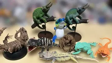 생물 대도감 등 도마뱀 및 양서류 계열 묶음 판매