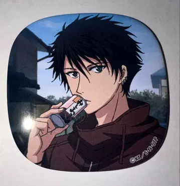 테니스의 왕자님 테니프리 편안한 컬렉션 캔뱃지 자이젠 히카루