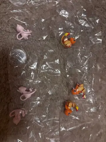 뮤우와 리자드 6체 세트