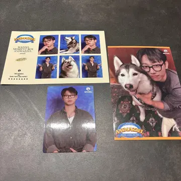 MAZZEL ANIMAZZEL 세이토 SEITO 트레이딩 카드 엽서