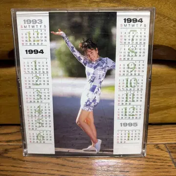 히카루 니시다 1994 캘린더