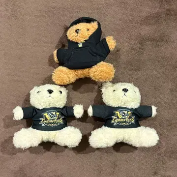 한신 타이거즈 오바타 류헤이 베어