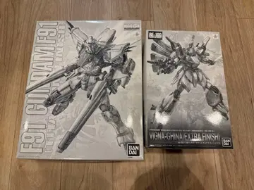 MG 건담 F91 & RE 비기나 기나 세트