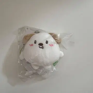 RIIZE 앤톤 몽룡이 미니 인형 키링