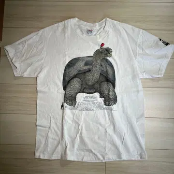 Hanes Comfort 거북이와 작은 새 티셔츠