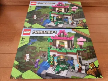 LEGO Minecraft 세트 21183 2상자 세트