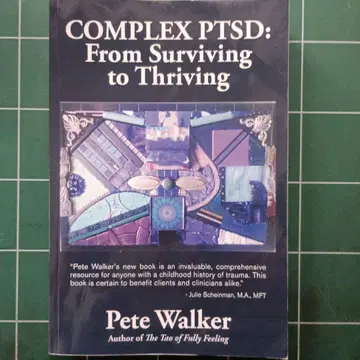 복합 외상 후 스트레스 장애: 생존에서 번영으로