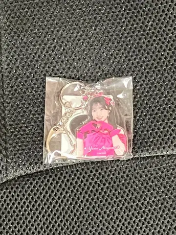 AKB48 아키야마 유나 봄 콘서트 2026 요요기 회장 한정 3연 키링