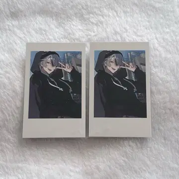 crazy raccoon CR 셀카 폴라로이드 토토미