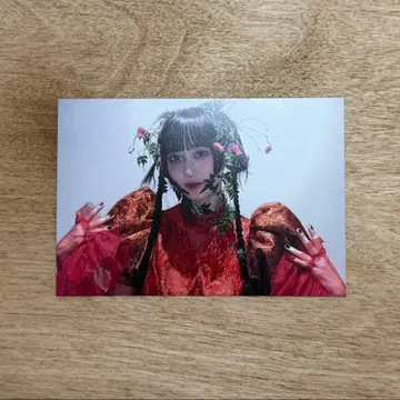 팬텀 시타 하이네 트레이딩 카드 혜택 등수이