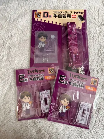 하이큐 구스마 복권 우시지마 와카토시 D상 E상 세트