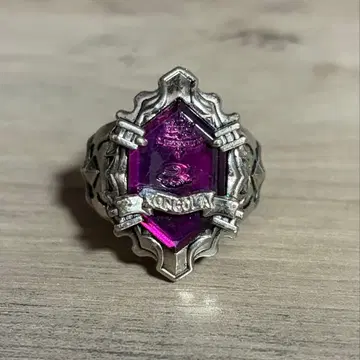 가정교사 히트맨REBORN! 뉴 봉고레 반지 구름의 반지 히바리 쿄야 1