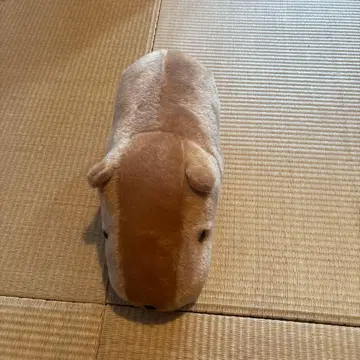카피바라 봉제 인형