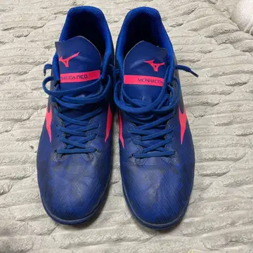 미즈노 트레이닝 슈즈