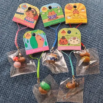 카피바라 씨 끈 스트랩 키링 5세트 새상품