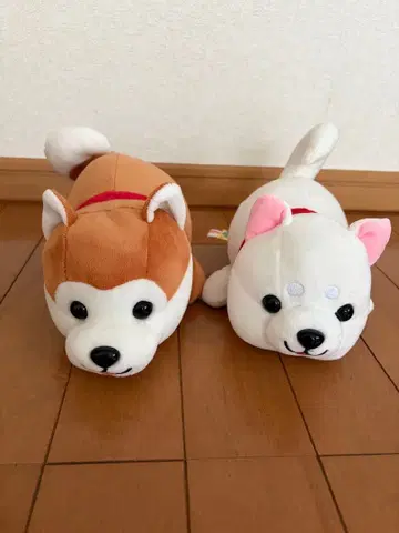 강아지 봉제 인형 2체 세트