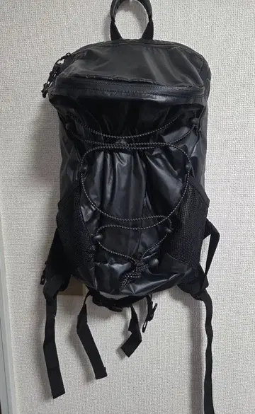 snow peak / 스노우피크 / 백팩