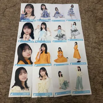 쇼겐지 요코 16종 컴프 히나탄사이 몽그루 JOYFUL 파스텔