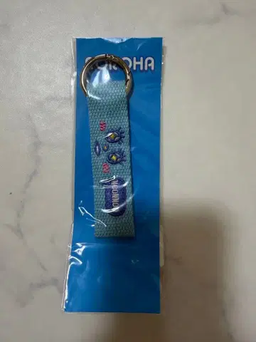 ASTRO 로로하 네임 키링 차은우 은우 로로하 눈누