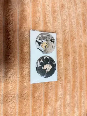 문호 스트레이독스 나카지마 아츠시 아쿠타가와 류노스케 캔 배지