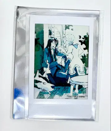 [레어] 테일즈 폴라로이드 브로마이드 유리 에스텔 라피드