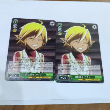 바이스 슈바르츠 자신만만 아우라 2장 세트