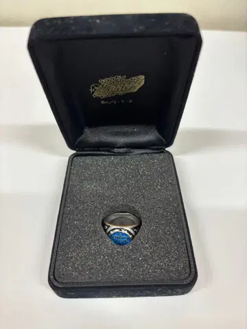 가정교사 히트맨 리본 반지