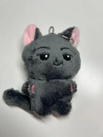 ENHYPEN 제이 봉제 인형 키링