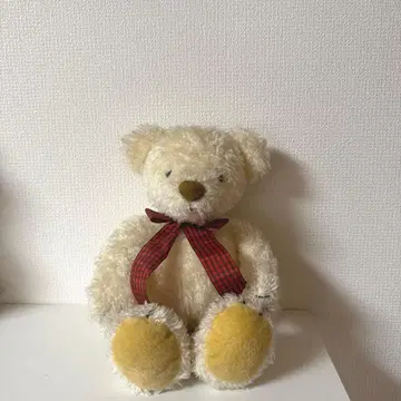 원더즌 베어 세키구치