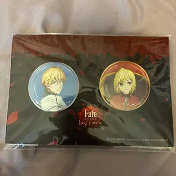 Fate EXTRA 가웨인&레오 아크릴 스탠드 캔 배지 세트