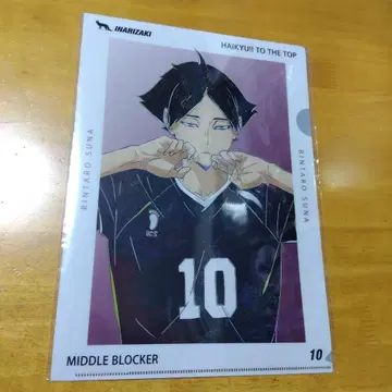 20 하이큐!! 스나 린타로 Ani-Art A-4 클리어 파일