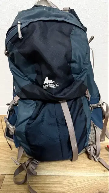 GREGORY 그레고리 Z55 백팩