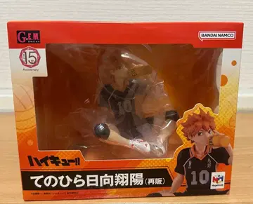 손바닥 히나타 쇼요 피규어