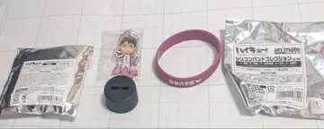 하이큐 실리콘 밴딩 아크릴 캡 스탠드 시라토리자와 우시지마