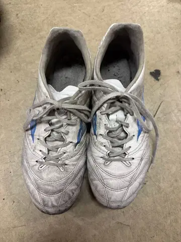 미즈노 모나르시다