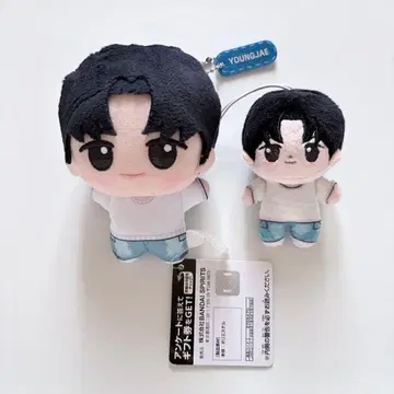 TWS 투어스 영재 치비구루미 호와누이 봉제 인형