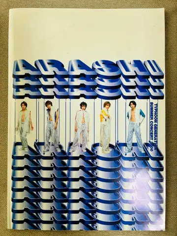 레어 ARASHI 2004 TYHOON GENERATION 팜플렛