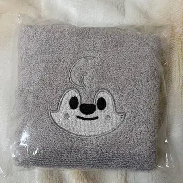 straykids 스키즈 방찬 타월