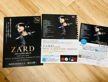 ZARD What a beautiful moment 플라이어 3장 세트