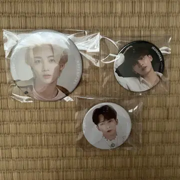 seventeen 정한 캔뱃지 세트