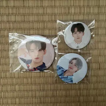 세븐틴 정한 캔뱃지 세트