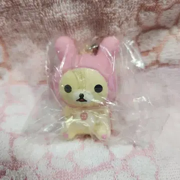 리락쿠마 코리락쿠마 스퀴즈 스트랩 산엑스