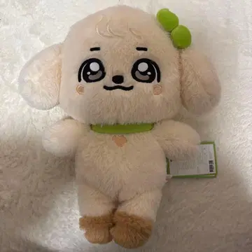 미개봉 IVE minive 유진 트레이딩 카드 30cm 강안지 popup