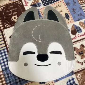 stray kids 방찬 부채 커버