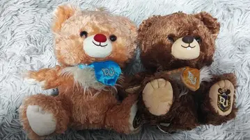 유니베어 칩과 데일